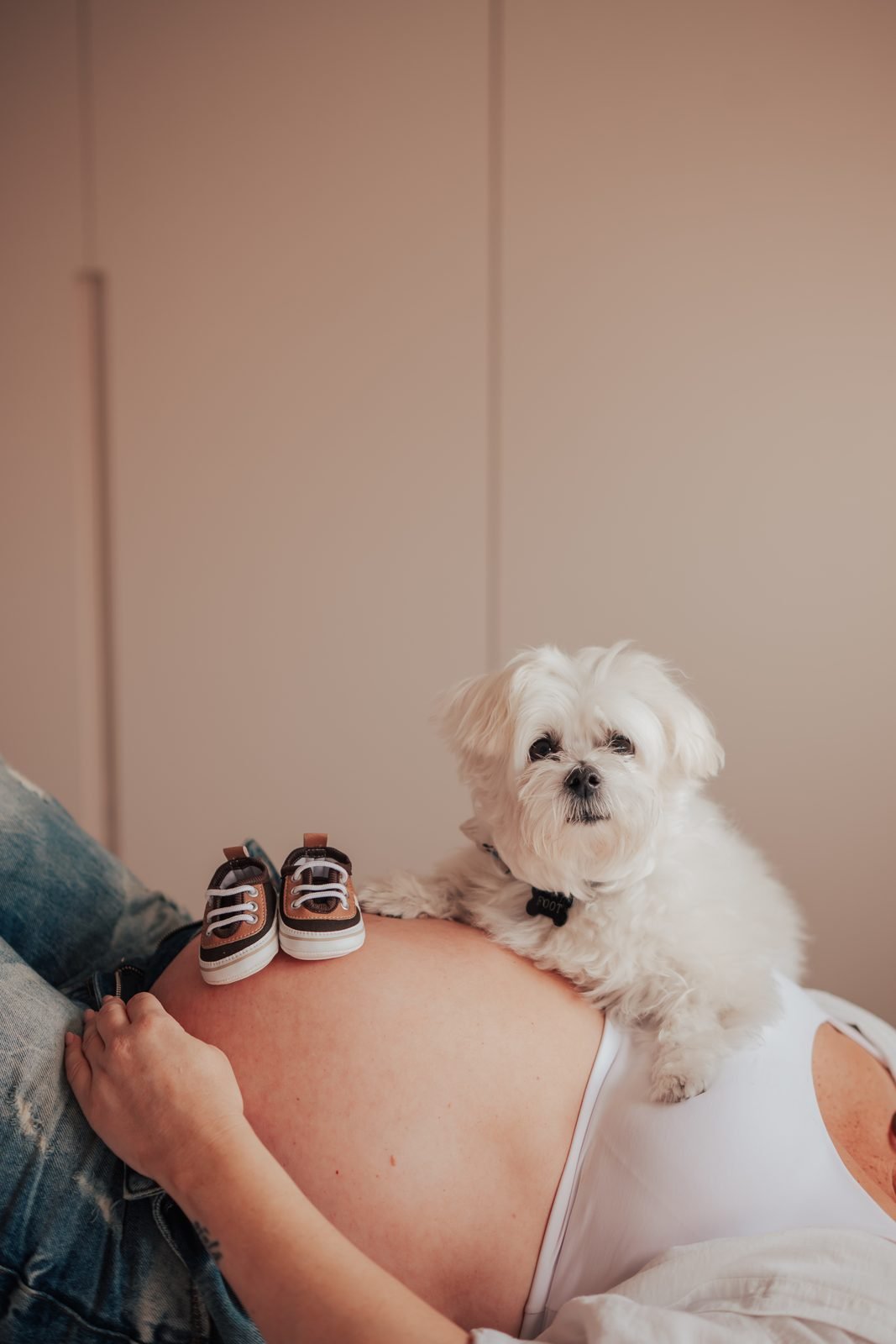 Barriga de grávida e cachorro em casa